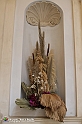 VBS_0241 - Corollaria Flower Exhibition 2022